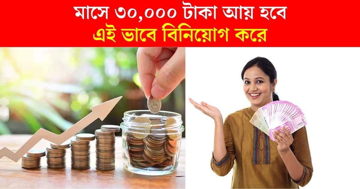 30000 rupees per month income by investing 3 lakh rupess process