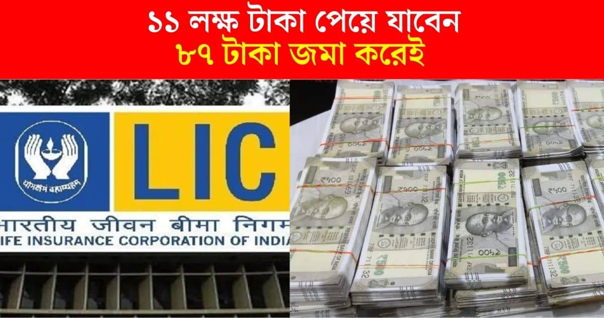 lic policy