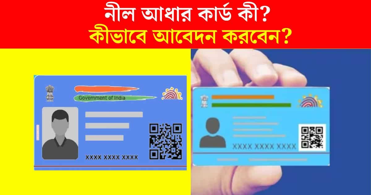 What is Blue Aadhaar Card How to apply