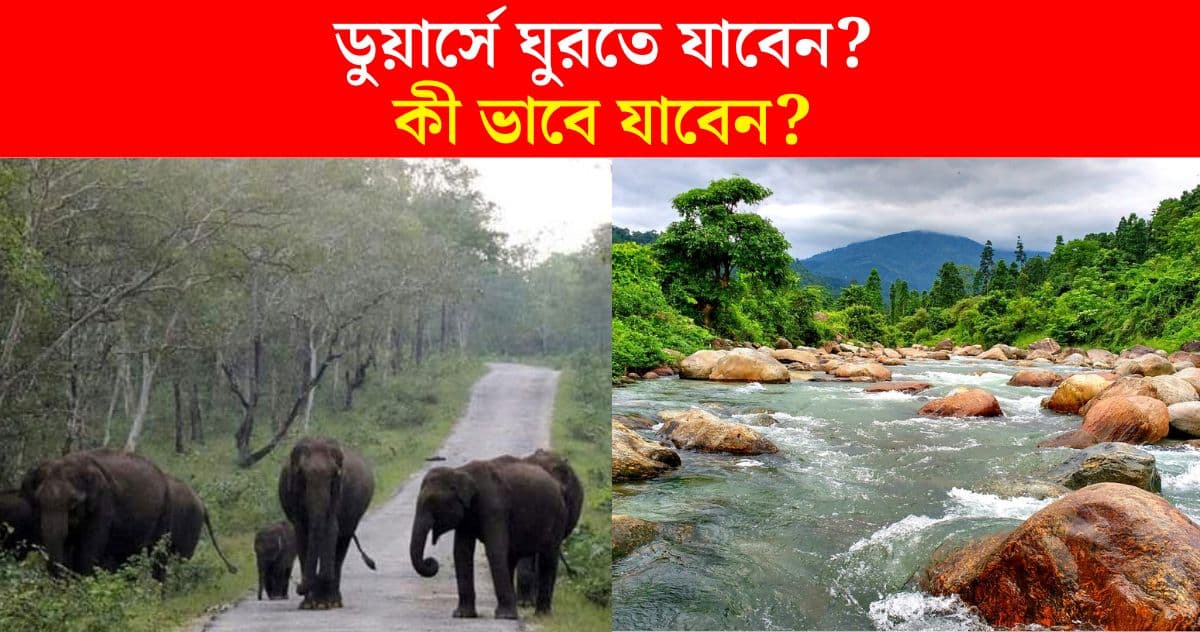 250 Rupees Stay At Dooars tour plan