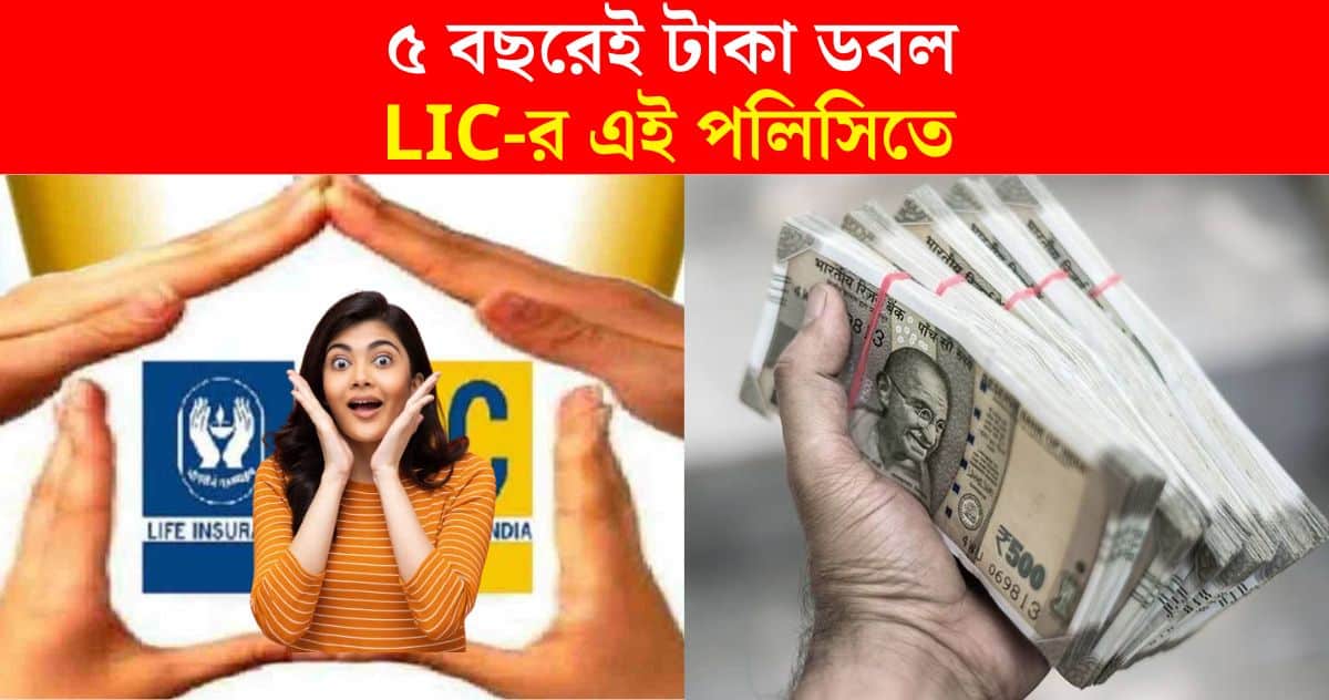 lic policy that dubble yor money with in 5 years