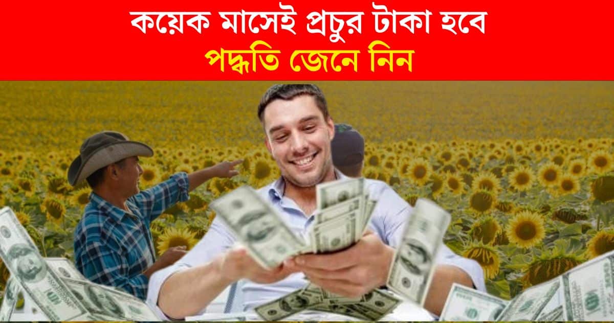 make money with Sunflower Cultivation business idea